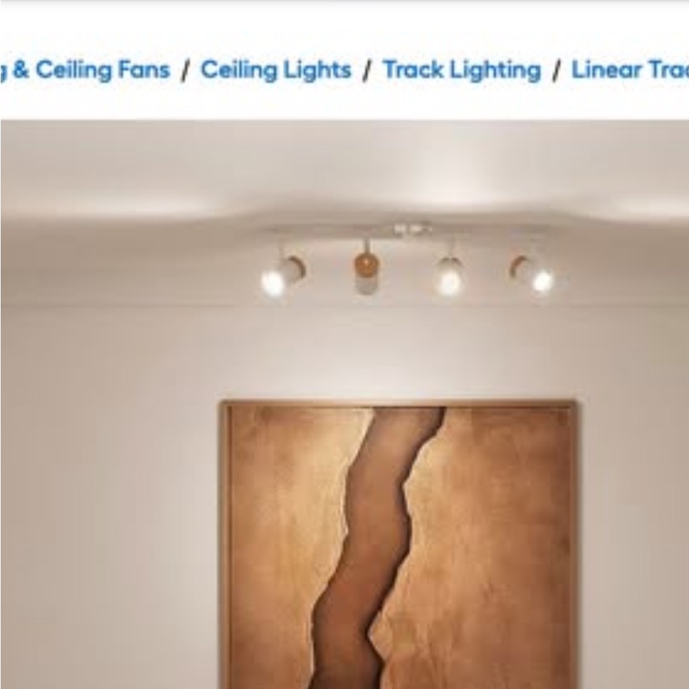 Brand new track lights 4 lights